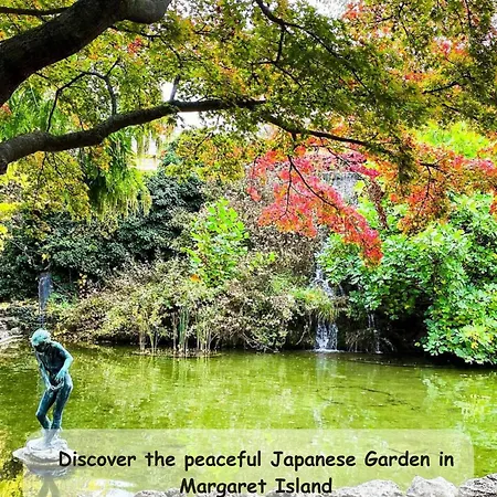 Parisian Chic Center